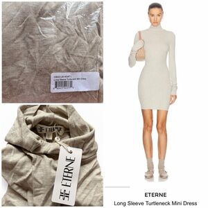 NWT Eterne Heather Oatmeal Long Sleeve Turtleneck Mini Dress L